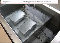 Líquido de limpeza ultrassônico submergível personalizado para a limpeza industrial, LS -24T